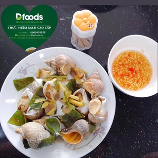 Ốc Bulot Pháp size 20 - 30 con/ 1 kg
