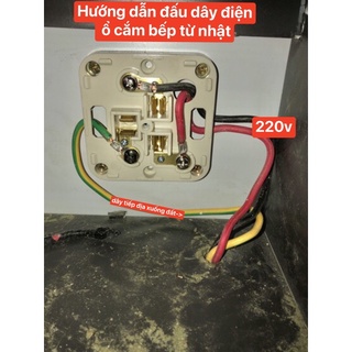 Ổ cắm bếp từ nhật