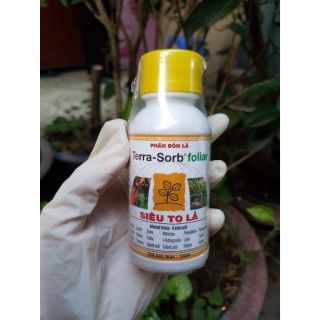 Phân bón kích thích Siêu To Lá ở cây trồng Terra-Sorb°foliar chai 100ml