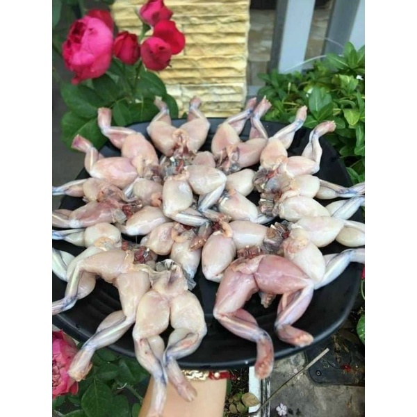 🐸🐸ĐÙI ẾCH LÀM SẠCH