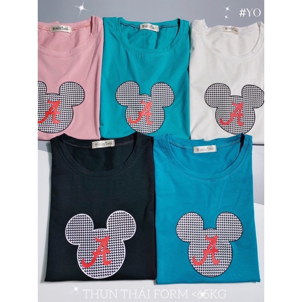 Áo THUN THÁI form rộng nhiều màu