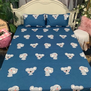 Sét ga chống thấm cotton đẹp