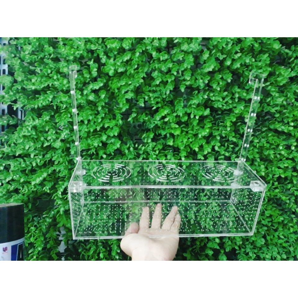 Lồng dưỡng tép/cá 1 ngăn có nắp đậy cao cấp
