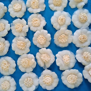 Hoa Cài Áo Nhỏ Xinh
