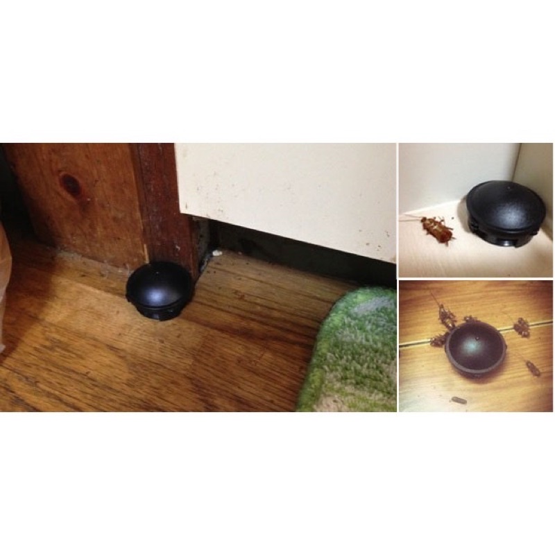 Viên Diệt Gián Nhật Bản ❤️HỘP 12 VIÊN❤️Diệt Tận Gốc , An Toàn , Hiệu Quả