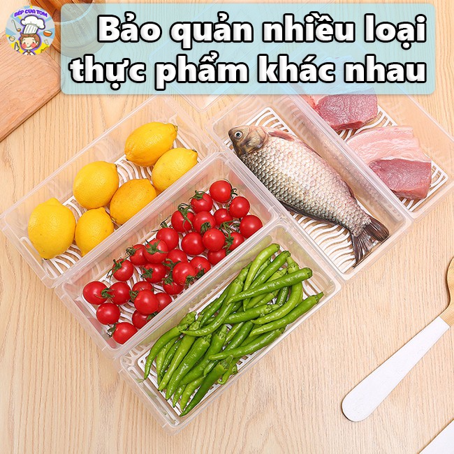 Hộp Tủ Lạnh ,Hộp Thực Phẩm Đựng rau ,Hoa Quả. Đựng Thức Ăn Có Khay Giáo Nước Bằng Nhựa PP Cao Cấp An Toàn Sức Khỏe