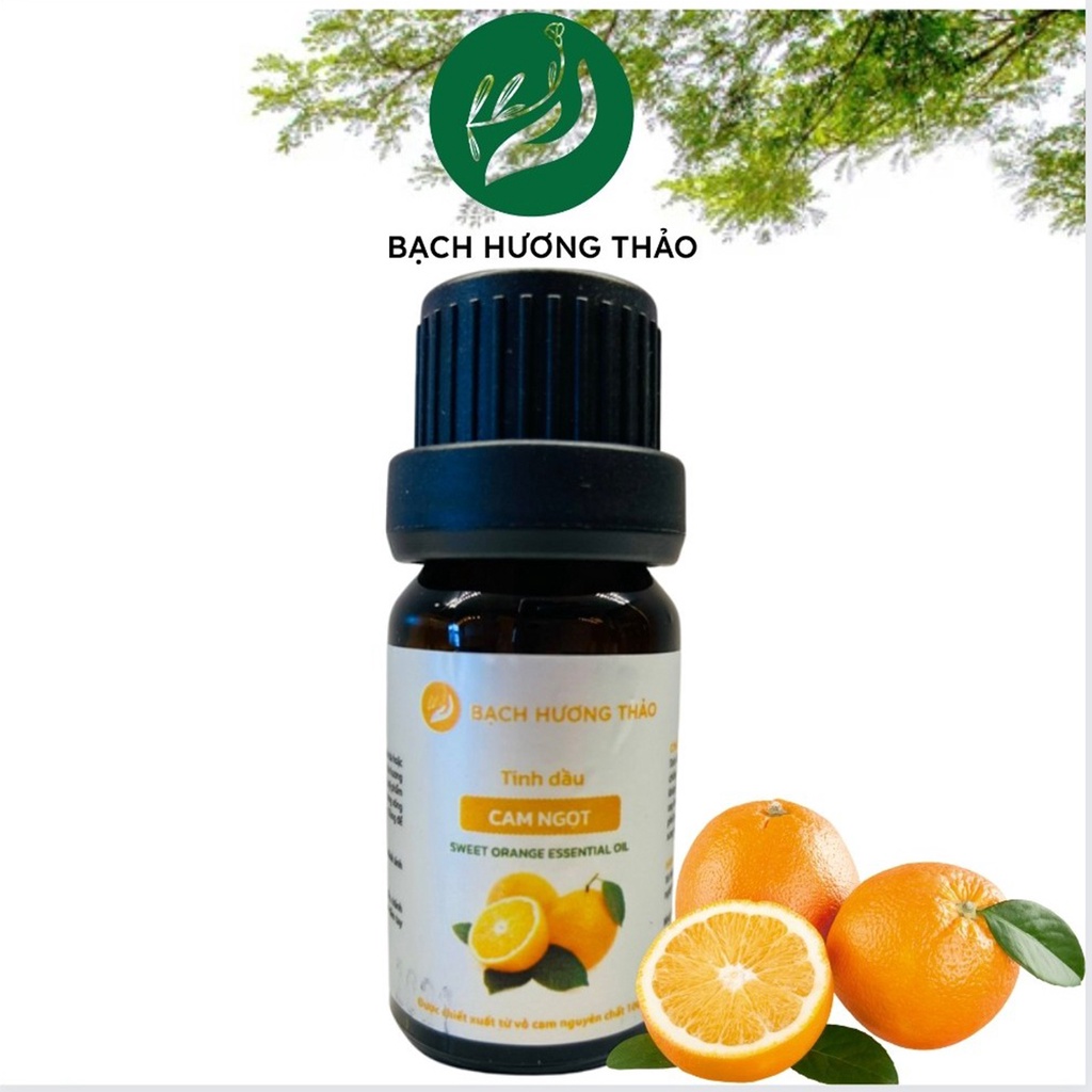 TINH DẦU CAM NGỌT SWEET ORANGE ESSENTIAL OIL giúp ngủ ngon thư giãn tăng cường miễn dịch | Bạch Hương Thảo