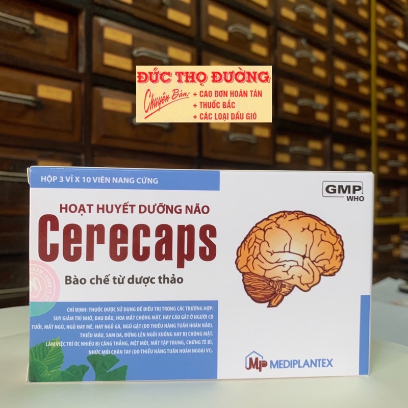 HOẠT HUYẾT DƯỠNG NÃO - Suy giảm trí nhớ, đau đầu, thiếu máu, sạm da - Cerecaps