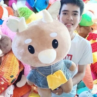 BÒ CHĂM CHỈ SIÊU TO GẤU BÔNG BÒ CHĂM CHỈ (ẢNH THẬT 100%)