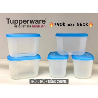 set hộp trữ đông tupperware 290ml