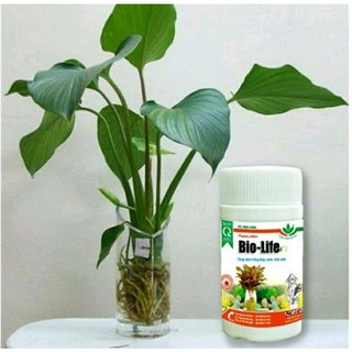 Bio life - dung dịch trồng thủy canh thủy sinh lọ 100ml