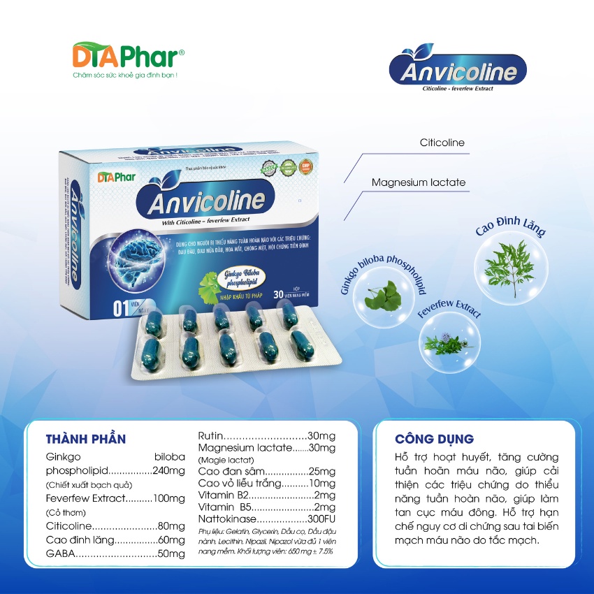 Viên uống bổ não Anvicoline DTAPhar tăng cường trí nhớ, giảm đau đầu, lưu thông máu hộp 30 viên
