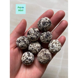 Sứ Bi Muối Tiêu 100Gr