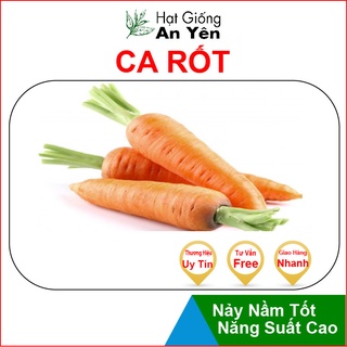 Hạt giống Củ Cà Rốt to thu hoạch sớm, dễ trồng, nảy mầm cao, sinh trưởng khoẻ