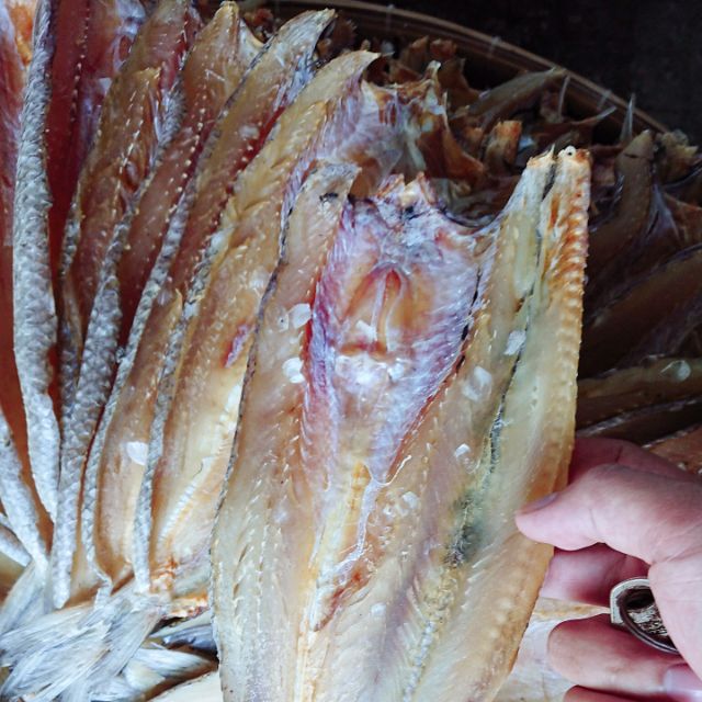 Khô cá mối 1kg