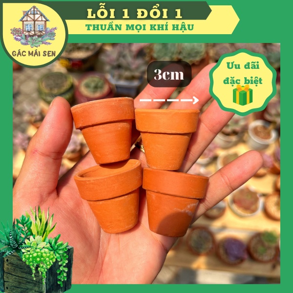 Chậu đất nung trồng sen siêu mini 3cm