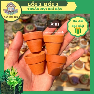 Chậu đất nung trồng sen siêu mini 3cm