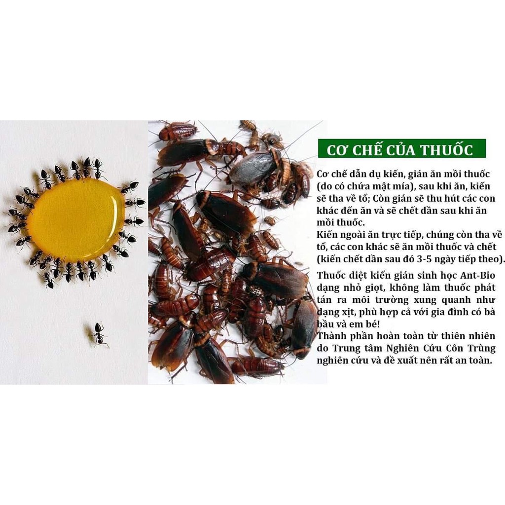 Chế phẩm diệt kiến tận gốc - diệt gián sinh học Ant-Bio lọ 10ml