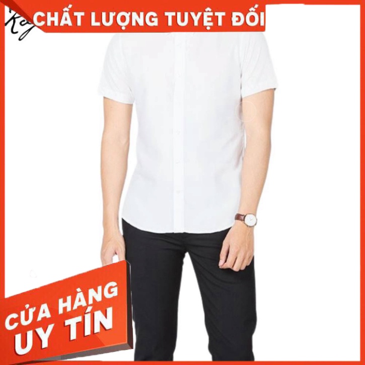 Áo sơ mi nam ngắn tay Kojiba dáng ôm vải chống nhăn cao cấp - Hàng nhập khẩu