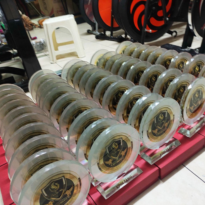 [Giá bán chưa bao gồm công in ấn] Cúp pha lê đĩa mặt trời | Kỷ niệm chương - quà tặng lưu niệm sang trọng - ý nghĩa