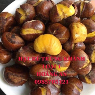 Hạt dẻ trùng khánh loại 1