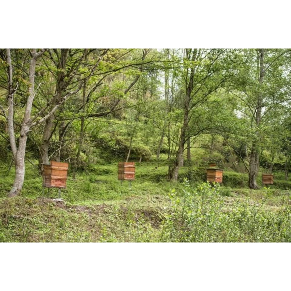 Mật ong tuyết núi Trường bạch lọ 1kg