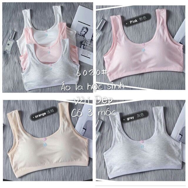 Áo Bra Hoc Sinh Cài Sau 6020