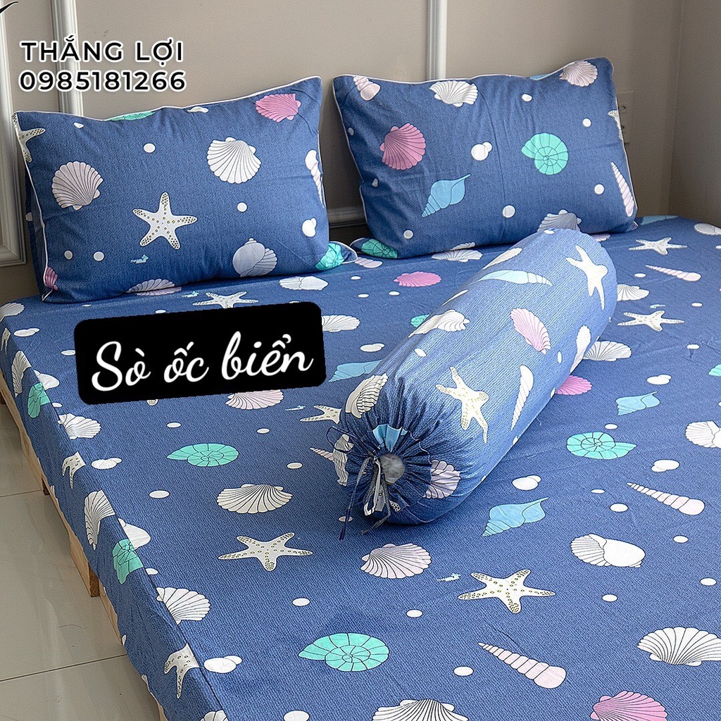 Drap Cotton 100% Thắng Lợi chính hãng Mẫu SÒ ỐC BIỂN IN LOGO THẮNG LỢI vệ sinh dễ dàng.