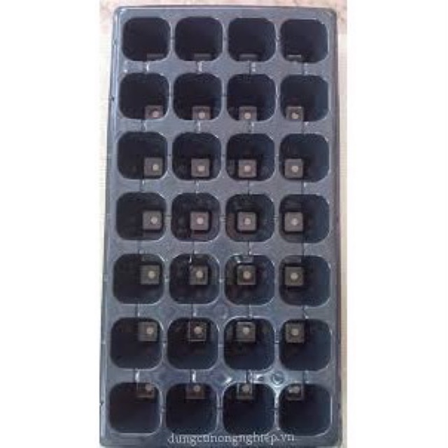 COMBO 05 KHAY ƯƠM HẠT 32 LỖ