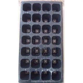 Combo 05 khay ươm hạt 32 lỗ