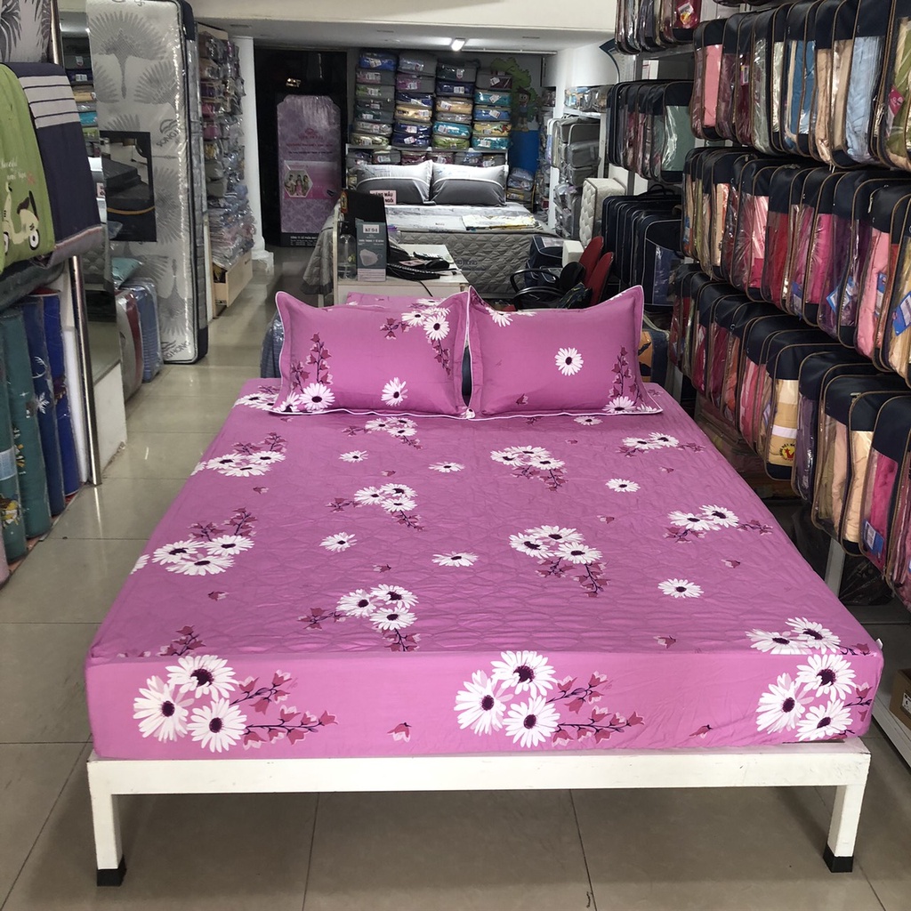 Bộ ga chun 150x190 có chần cotton Sông Hồng