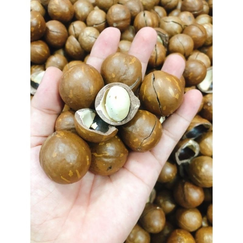 Lọ 500g macca nứt tự nhiên bao ngon