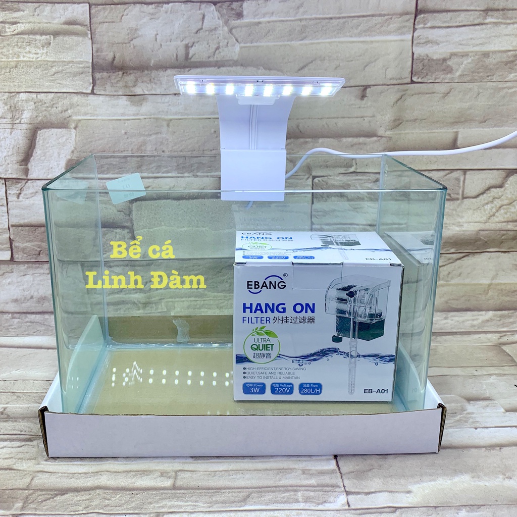 Bể Cá Chữ Nhật 25cm Kính Đúc Bo Góc Đẹp - Bể Cá Mini Để Bàn Dài 25cm