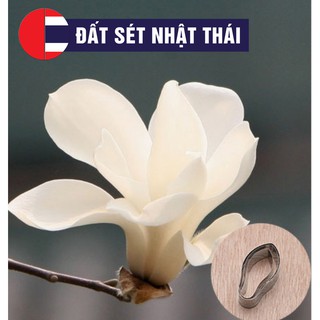 KHUÔN CẮT LÀM HOA ĐẤT SÉT MỘC LAN - KHUÔN XÔI HOA ĐẬU, KHUÔN CẮT HOA ĐẤT SÉT