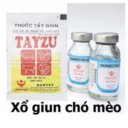 Quà tặng bí mật cho chó mèo