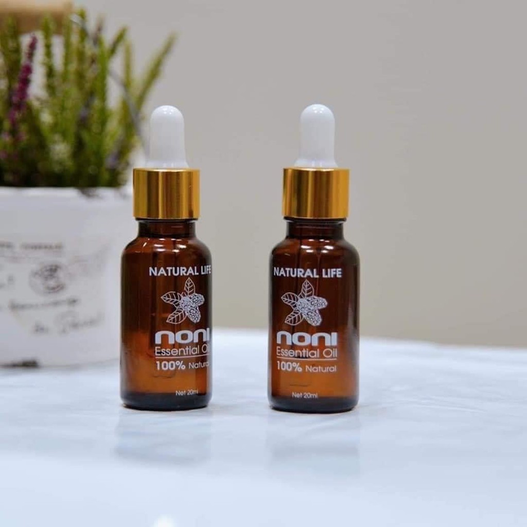 TINH DẦU TRÁI NHÀU - NONI OIL | BigBuy360 - bigbuy360.vn
