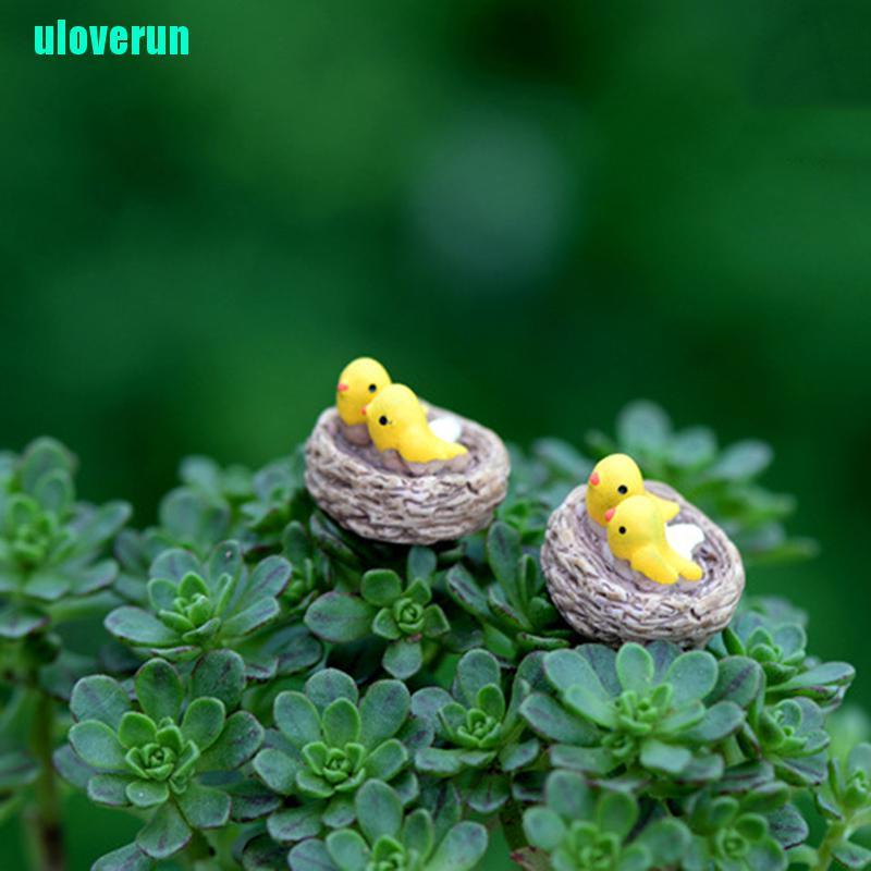 Mô Hình Tổ Chim Mini Dùng Để Trang Trí