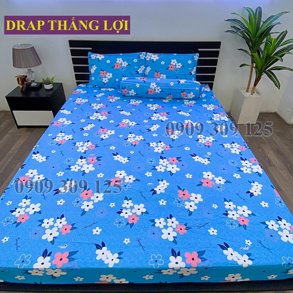 (ảnh thật) Drap cotton Thắng Lợi, ga giường cao cấp thoáng mát mẫu HOA MAI XANH