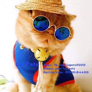 Mắt kính cho chó mèo | kính mắt thời trang cho chó mèo - kiếng cho chó mèo