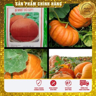 HẠT GIỐNG BÍ NHẬT ĐỎ F1 LUCKYSEEDS (10 HẠT)