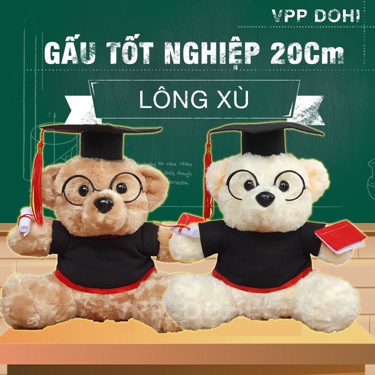 Gấu bông tốt nghiệp 20cm lông xù giá sỉ, tặng giấy gói quà