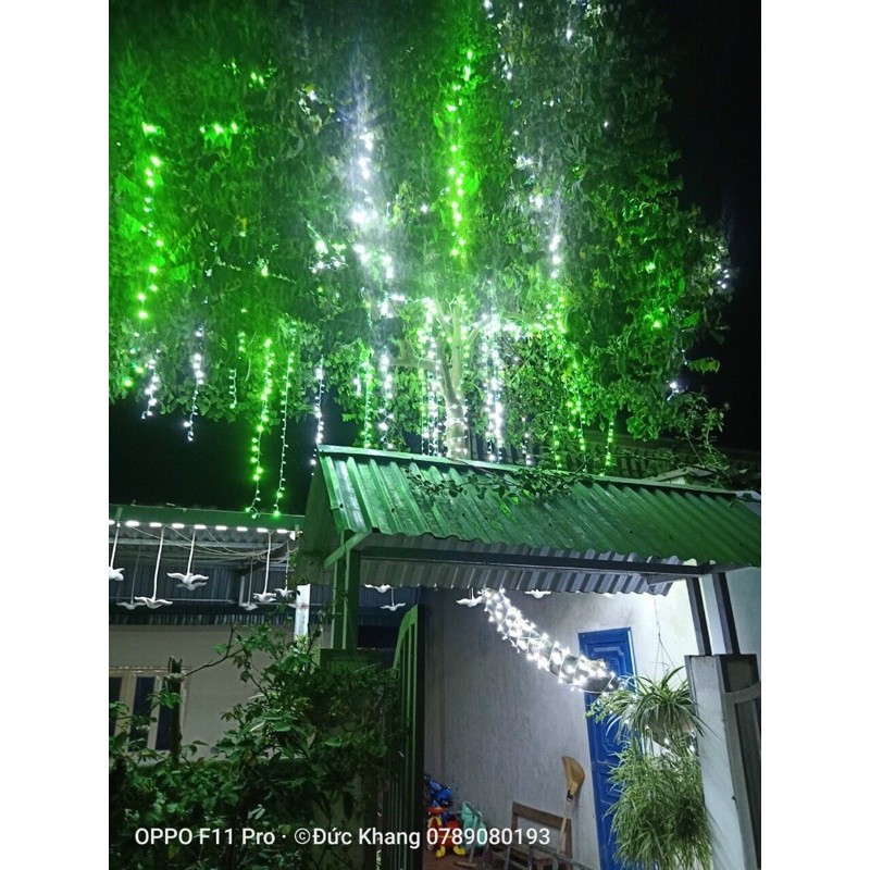 Combo 20 dây led xanh lá + trắng và nguồn