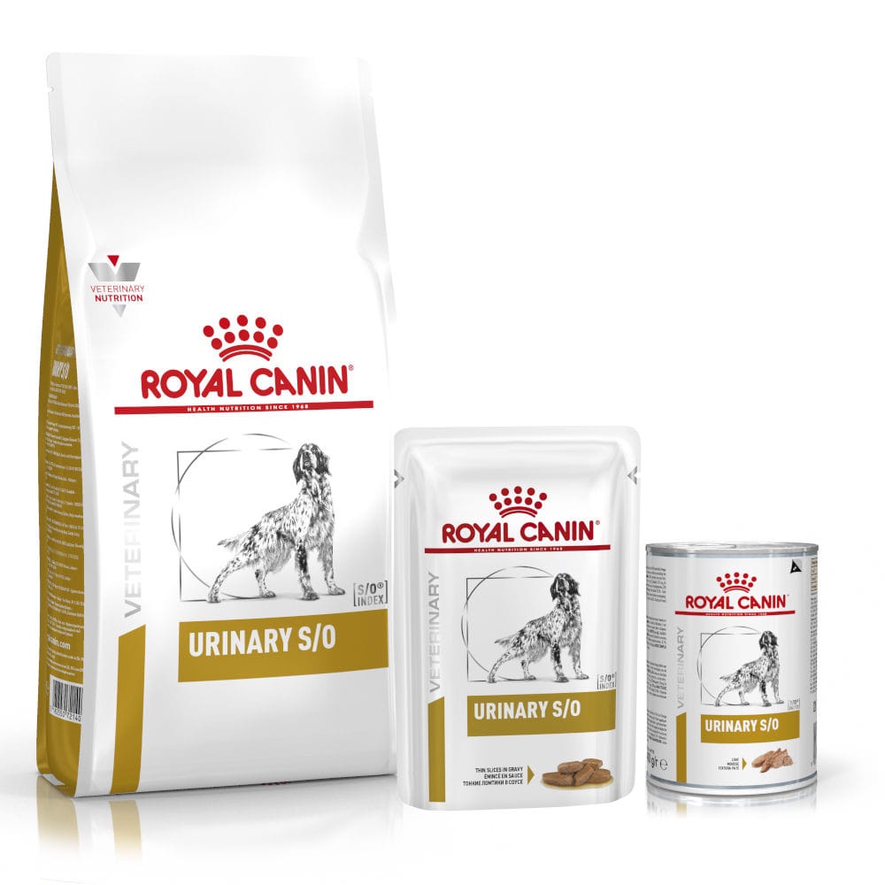 [2kg] Hạt Royal Canin Urinary S/O Cho Chó Sỏi Thận