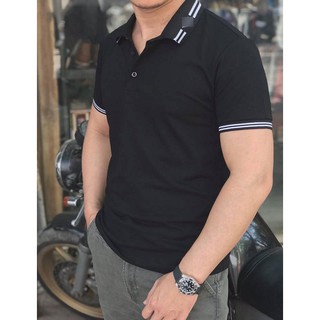 Ao phông polo