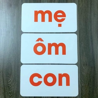 COMBO 3 Bộ thẻ học tập gồm (bộ thế giới xung quanh 300 thẻ, bộ học toán, bộ tiếng viêt)