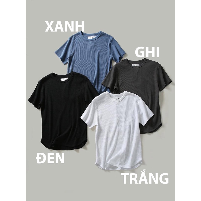 Áo thun nam cotton tổ ong, siêu thoáng mát, dầy dặn giữ form