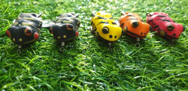 Nhái giả Ninja Frog