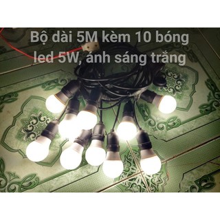 Đèn dây trang trí ngoài trời 5M 10 bóng