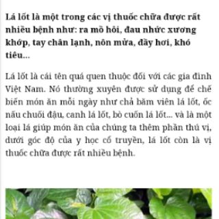 25 Cành lá nốt giống
