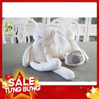 Đồ Chơi Trẻ Em Thỏ, gấu bông